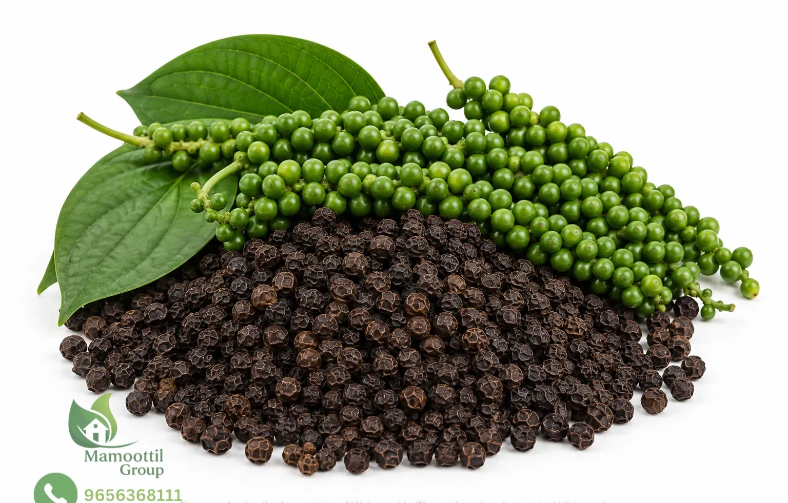 Climbing Vine Cluster Display